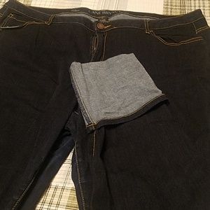 Lane Bryant Skinny Jeans